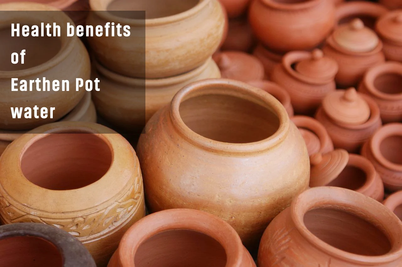 wellhealthorganic.com:some-amazing-health-benefits-of-drinking-water-from-an-earthen-pot