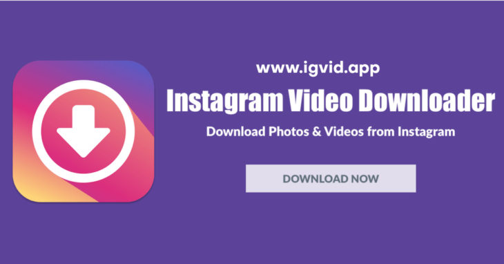 How to Download Instagram Videos Online
